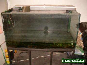 Akvarium_1 32279_1.jpg