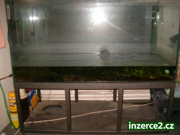 Akvarium_2 32279_2.jpg