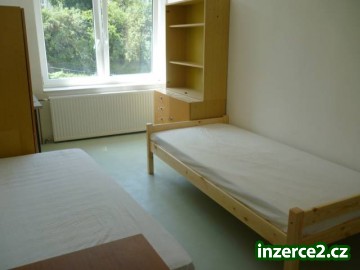 Pronajmu pokoje studentům Brno Kohoutovice_1 323745_1.jpg