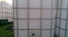 323804_t.jpg