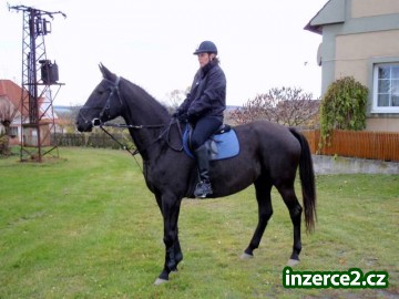 Klisna ČT, s PP, zařazena do PK_1 324746_1.jpg