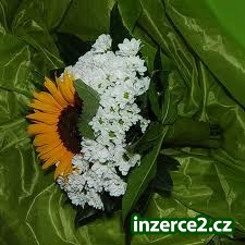 Práce na doma_1 328066_1.jpg