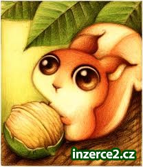 DOMÁCÍ PRÁCE VHODNÁ PRO KAŽDÉHO_1 329130_1.jpg
