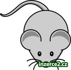 Snadný přivýdělek_1 332788_1.jpg