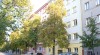 Praha 6 - Bubeneč, zděný byt 2 + k.k. 55 m2. OV. U domu zeleň. 332797_t.jpg