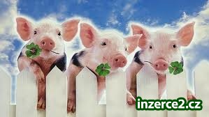 Přivýdělek - PŘIDEJ SE K NÁM_1 332862_1.jpg
