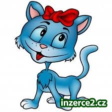 Práce z domova_1 334444_1.jpg
