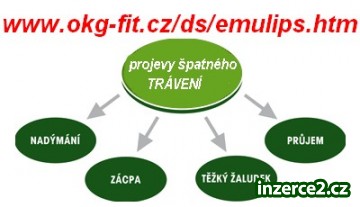 Bez trávicích problémů nejen na vánoce_1 34034_1.jpg