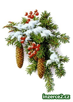 Přivýdělky_1 342151_1.jpg