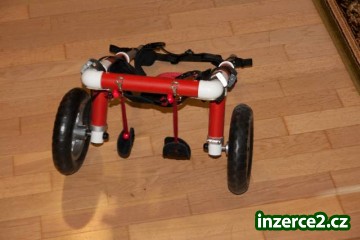 Invalidní vozík pro jezevčíka_2 346277_2.jpg