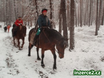 Jarní prázdniny u koní v roce 2013_1 348105_1.jpg