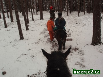 Jarní prázdniny u koní v roce 2013_2 348105_2.jpg
