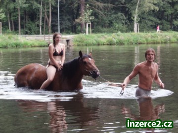 Letní prázdniny u koní v roce 2013_1 348107_1.jpg