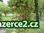 Chyťte šanci za pačesy!_1 359369_1.jpg
