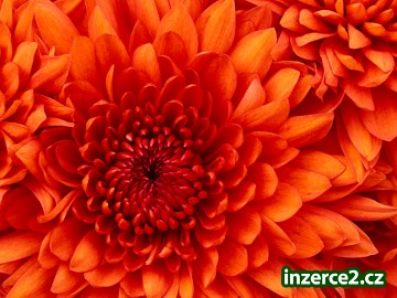 dobře placená práce_1 361570_1.jpg