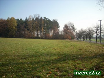 pozemek u Mohelnice_1 36213_1.jpg