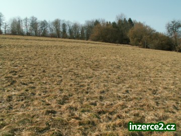 Prodej pozemku 150 Kč/m2 v Letohradu_1 366403_1.jpg