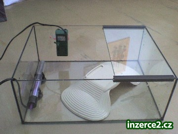 želvárium s výbavou_2 3777_2.jpg