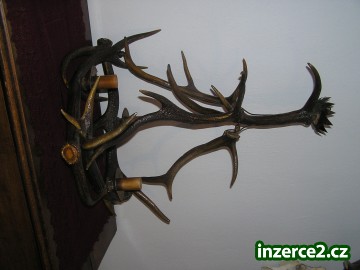 Lustr z jeleního paroží_1 38521_1.jpg
