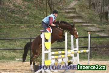 Klisna pro sport_1 3852_1.jpg