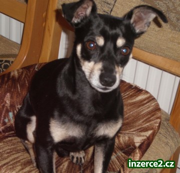 Krytí_1 38881_1.jpg