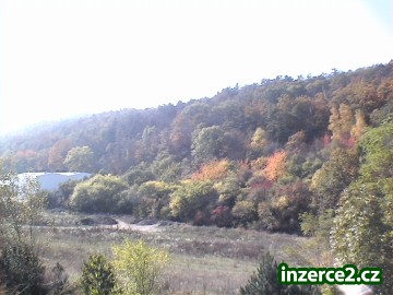 Prodám les 75000 m2_1 38925_1.jpg