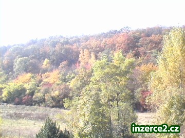 Prodám les 75000 m2_2 38925_2.jpg