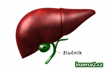 Máte potíže se žlučníkem?_1 396462_1.jpg