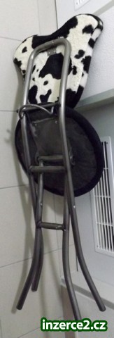 Skládací židle_2 398600_2.jpg