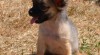 400907_t.jpg