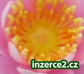 Seriozní přívydělek,néjen pro maminky na md !_1 404428_1.jpg