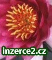 Seriozní přívydělek,přes internet !_1 407446_1.jpg