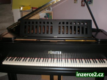Koncertní křídlo_1 408057_1.jpg