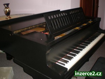 Koncertní křídlo_2 408057_2.jpg