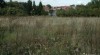 417204_t.jpg