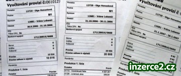 Přivýdělek pro všechny_1 42270_1.jpg
