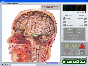 Nabízíme diagnostiku zdravotního stavu_2 423950_2.jpg