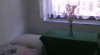 424041_t.jpg