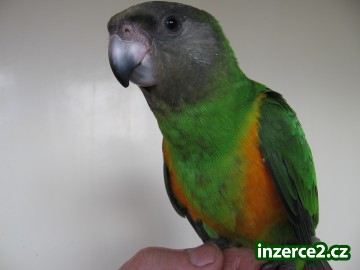 424624_1.jpg