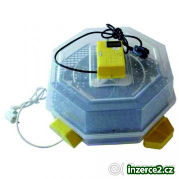 automaticka lihen cleo na 41ks vajec_1 424819_1.jpg