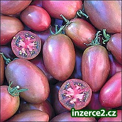 Přísada tyčkových rajčat._1 425855_1.jpg