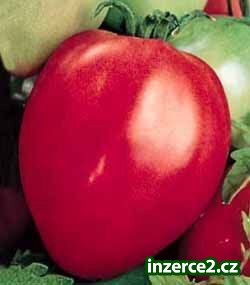 Přísadu tyčkových rajčat vyžadující oporu._1 425856_1.jpg