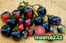 Hrníčková přísada netradičních tyčkových odrůd rajčat_2 425857_2.jpg
