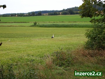 Zahradnické služby sekání trávy Rokycany_1 431863_1.jpg