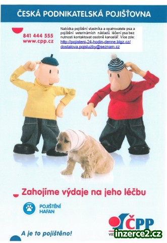 Pojištění psa bez nutnosti vyhledání kanceláře_1 434609_1.jpg