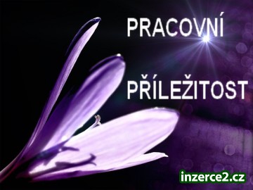 Pracovní příležitost_1 435524_1.jpg