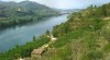 Pozemek nad rekou Ebro 436489_t.jpg