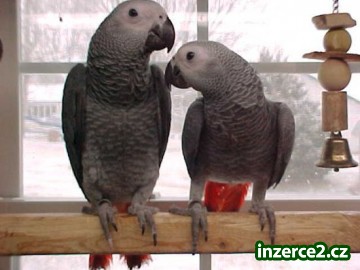 437603_1.jpg