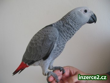 439326_2.jpg
