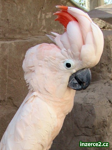 446506_1.jpg